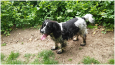 A happy Dog Days customer