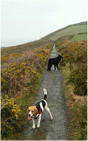 A happy Dog Days customer
