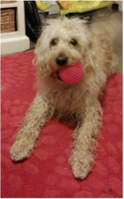 A happy Dog Days customer