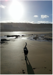 A happy Dog Days customer